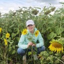 ���������� �������������, ���� ������� ������, 55 ���, ������������ ��� ����� � ���������