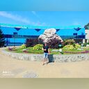 ���������� �������, ���� ������� �������, 33 ����, ������������ ��� ������, ����� � ���������