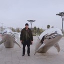  ,   , 41 ,   ,   , c 