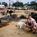  ,   , 52 ,   ,   , c 