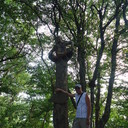 ���������� ���������, ���� ������� �����, 41 ���, ������������ 