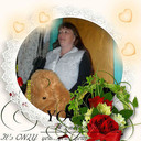  ,   , 51 ,     , c 