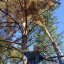 ���������� �������, ���� ������� ����, 29 ���, ������������ ��� ������, ����� � ���������, c�������� ���������