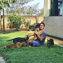  Paddington,   Raphael, 45 ,     , c 