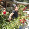 ,   Roini, 80 ,  
