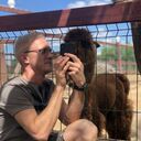 ���������� ������, ���� ������� ��������, 36 ���, ������������ ��� ������, ����� � ���������, c�������� ���������, ���������