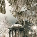  ,   Irina, 52 ,   ,   , c 