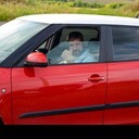  --,   , 51 ,   ,   , c 