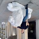 ���������� �����, ���� ������� �������_����, 38 ���, ������������ ��� ������, ����� � ���������, c�������� ���������, ���������