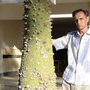 ���������� ���������, ���� ������� ���������, 47 ���, ������������ ��� ����� � ���������, c�������� ���������