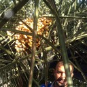  ,   ALI, 42 ,   ,   , c 