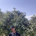 ���������� ����������, ���� ������� �����, 43 ����, ������������ ��� c�������� ���������, ���������