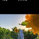 ���������� �������, ���� ������� �����, 27 ���, ������������ ��� ������, ����� � ���������, c�������� ���������, ���������