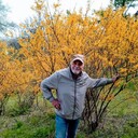  ,   , 70 ,   ,   