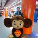 ���������� �����������, ���� ������� ����, 27 ���, ������������ 