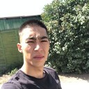 ���������� �����, ���� ������� ALAN, 29 ���, ������������ ��� ������, ����� � ���������, ���������