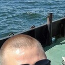  -,   , 41 ,   ,   