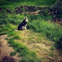 ���������� �������, ���� ������� ������, 27 ���, ������������ ��� ������, ����� � ���������, c�������� ���������, ���������