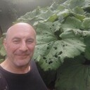 ���������� �������, ���� ������� �������, 49 ���, ������������ ��� ����� � ���������, c�������� ���������