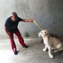  ,   , 57 ,   ,   