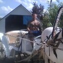 ���������� �����������, ���� ������� ������, 29 ���, ������������ ��� ������, ����� � ���������, c�������� ���������, ���������