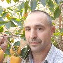 ���������� ���������, ���� ������� ����, 44 ����, ������������ ��� ����� � ���������, c�������� ���������