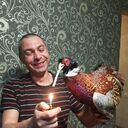 ���������� ����������, ���� ������� ������, 41 ���, ������������ ��� ������, ����� � ���������