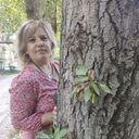 ���������� �����, ���� ������� �����, 44 ����, ������������ ��� ����� � ���������, c�������� ���������