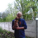 ���������� ������, ���� ������� ���������, 44 ����, ������������ ��� ������, ����� � ���������, c�������� ���������