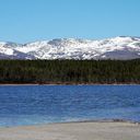 ���������� ����, ���� ������� �����, 39 ���, ������������ 