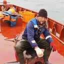 ���������� ������-�������, ���� ������� Anton, 37 ���, ������������ ��� ������, ����� � ���������, c�������� ���������, ���������