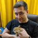 ���������� ��������, ���� ������� ������, 31 ���, ������������ ��� ������, ����� � ���������, c�������� ���������