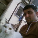  ,   , 38 ,   