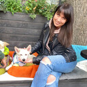 ���������� �����, ���� ������� ������, 37 ���, ������������ ��� ������, ����� � ���������, c�������� ���������, ���������