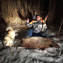 ���������� ������, ���� ������� ������, 42 ����, ������������ ��� ������, ����� � ���������