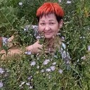 ,   , 52 ,     