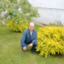   ,   , 41 ,     , c 