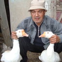  ,   , 63 ,   ,   , c 