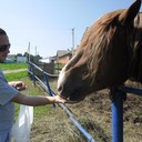 ���������� ������, ���� ������� ������, 34 ����, ������������ ��� ������, ����� � ���������, c�������� ���������