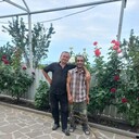  ,   , 50 ,   ,   , 