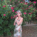  -,   , 50 ,   ,   , c 