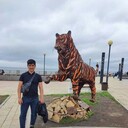 ���������� ������ �����, ���� ������� ���, 35 ���, ������������ ��� c�������� ���������