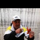 ���������� ���������, ���� ������� ���������, 47 ���, ������������ ��� c�������� ���������, ���������