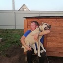 ���������� ��������, ���� ������� �������, 42 ����, ������������ ��� ������, ����� � ���������, ���������