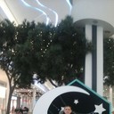 ���������� ����������, ���� ������� ����, 36 ���, ������������ ��� ������, ����� � ���������, c�������� ���������