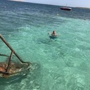 ���������� �����, ���� ������� �����, 33 ����, ������������ ��� ������, ����� � ���������