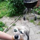 ���������� ������, ���� ������� �����, 39 ���, ������������ ��� ������