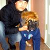  ,   , 33 ,   ,   , c , 