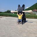 ���������� ������-��-����, ���� ������� ������, 42 ����, ������������ ��� ������, ����� � ���������, c�������� ���������