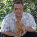  ,   , 51 ,   